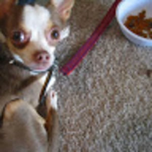 Meet your Posher, Nozomi